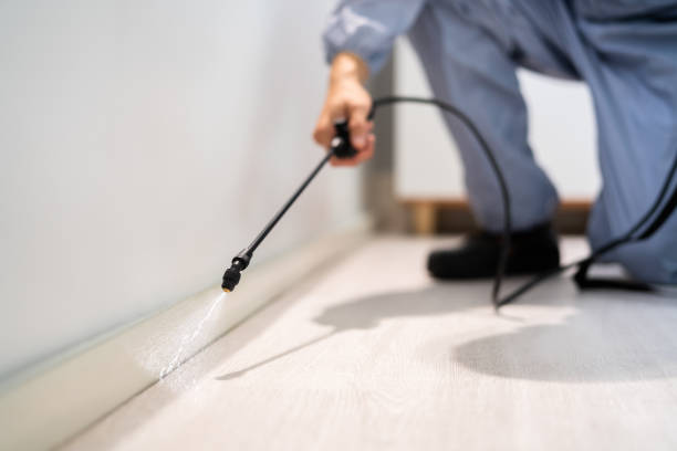 Licensed Pest Control service in Irvine, CA - Show Me Pest Control